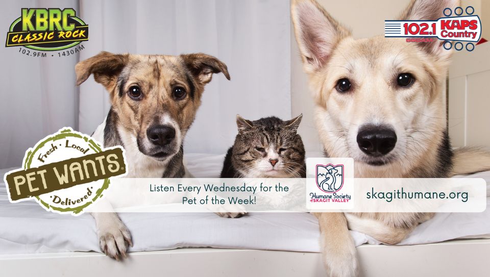 Pet Wants Skagit Pet of the Week
